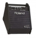 Roland  PM 10
