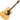 Takamine  EG360SC natural