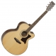 Tanglewood Premier TW155ST natural satin