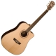 Washburn D10 SCE natural
