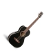 Art & Lutherie  Ami Cedar Black b-stock number 1