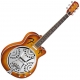 Fender  FR 50 Cutaway Acoustic/Electric sunburst