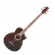 Ibanez EWB 20WNE-NT 