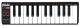 Akai  LPK25 Laptop Performance Keyboard